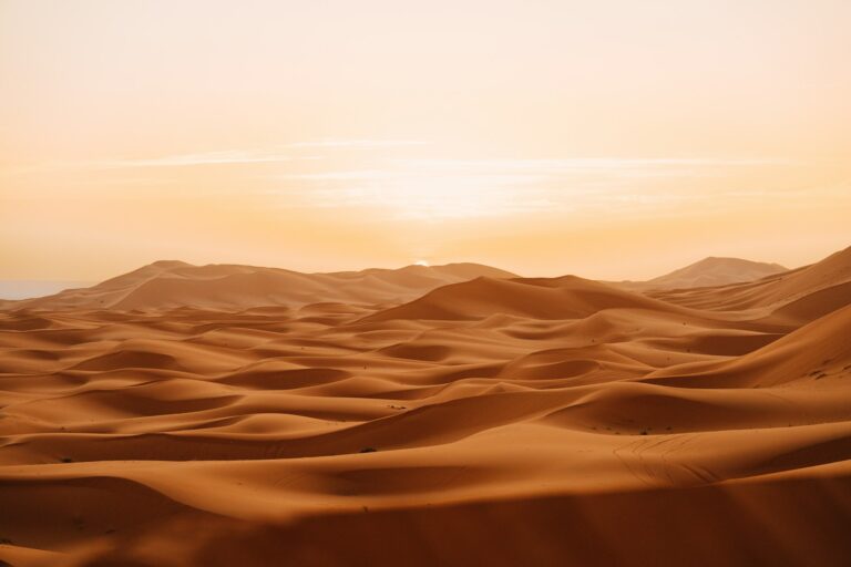 ahmed-oSjG83k3IFw-unsplash