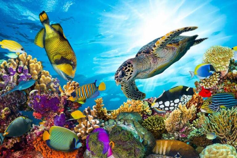 900x600-1-50-1850d22b8a51f31f990cfcdf163e74af