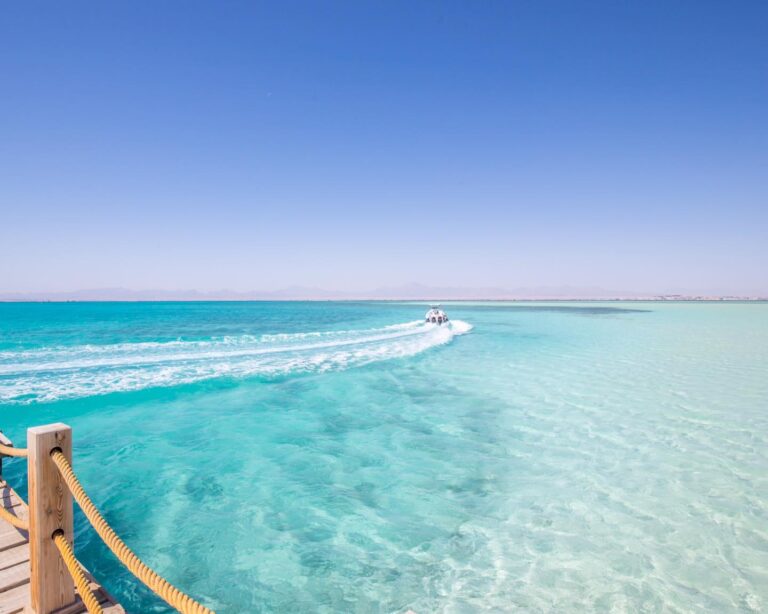 172905409_3765833773494099_5265529142395299926_n