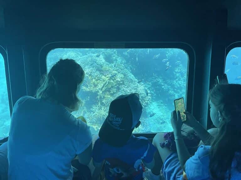 PHOTO-2024-05-26-12-11-35 2