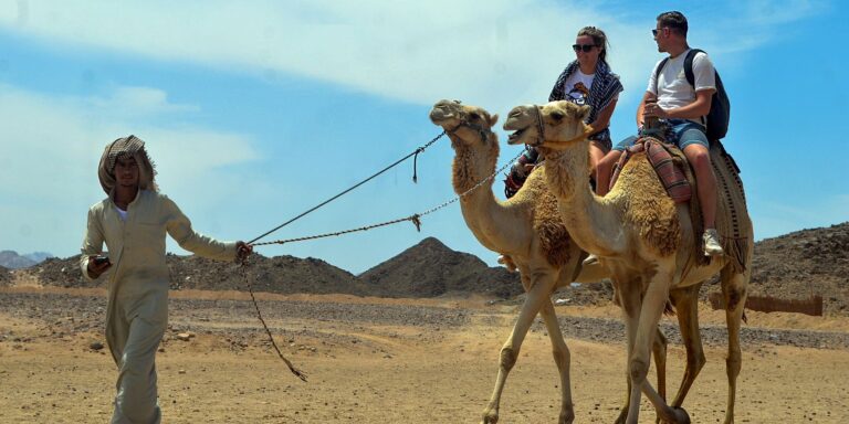 camel ride