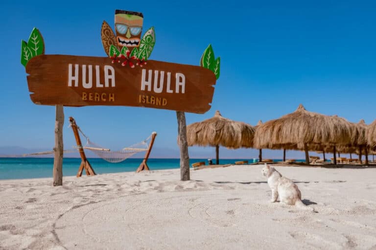 hula hula 4