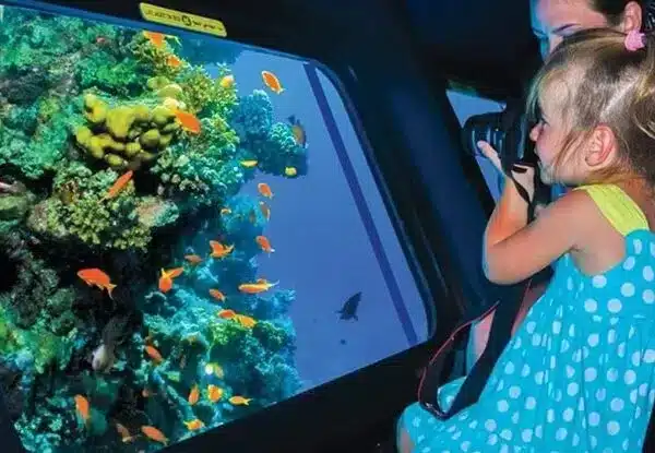 royal-sea-scope-hurghada-egypt-deals-tours-1_b2bfb_lg-600x415